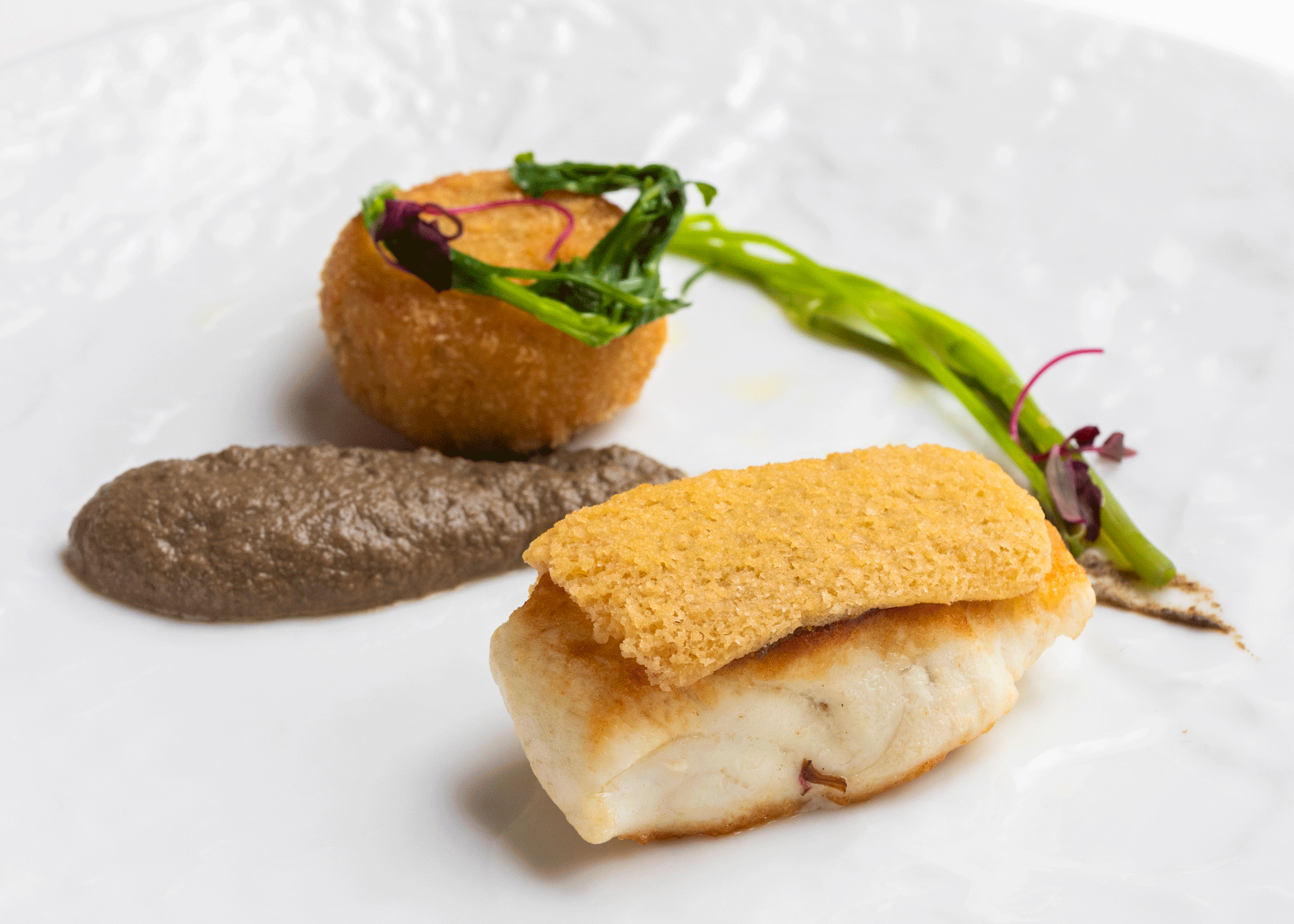 鮮魚の雲丹クルート焼き 山菜と木の芽のライスコロッケ タプナードソース