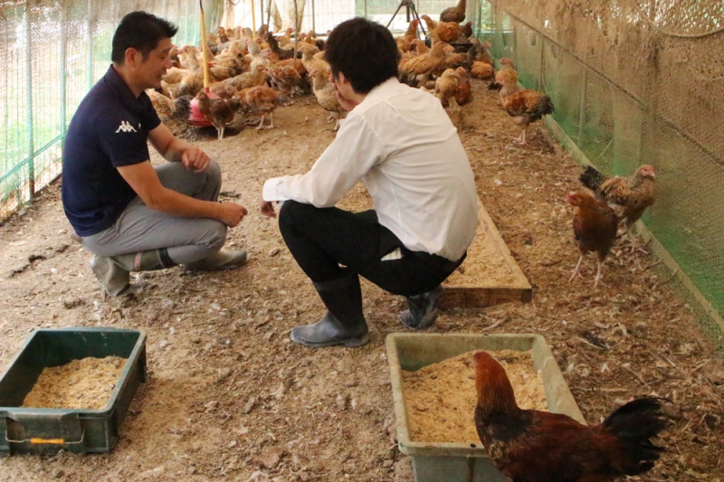 『料理長 岸本達哉の食材探訪 地元の特産鶏の「ひょうご味どり」』 　神戸市中央区 [画像]