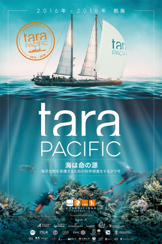 地球を守る科学探査船「タラ号」が日本初来航 神戸でイベント開催 [画像]