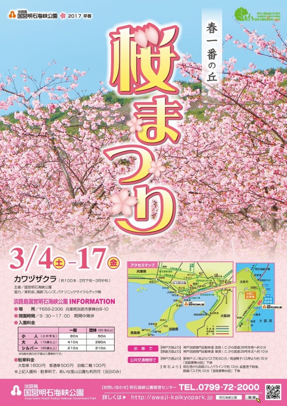 淡路島国営明石海峡公園『桜まつり』　淡路市 [画像]