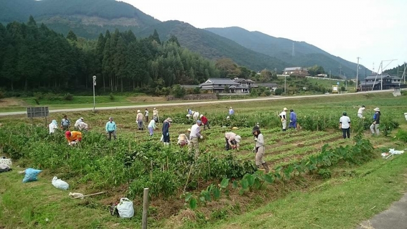 『有機農業塾』塾生募集　神戸市西区 [画像]