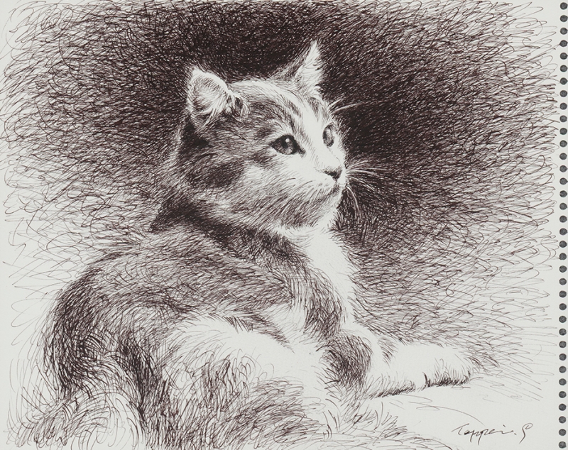 「ある猫の肖像」（ペン画） ©TEPPEI SASAKURA / ART TERRACE