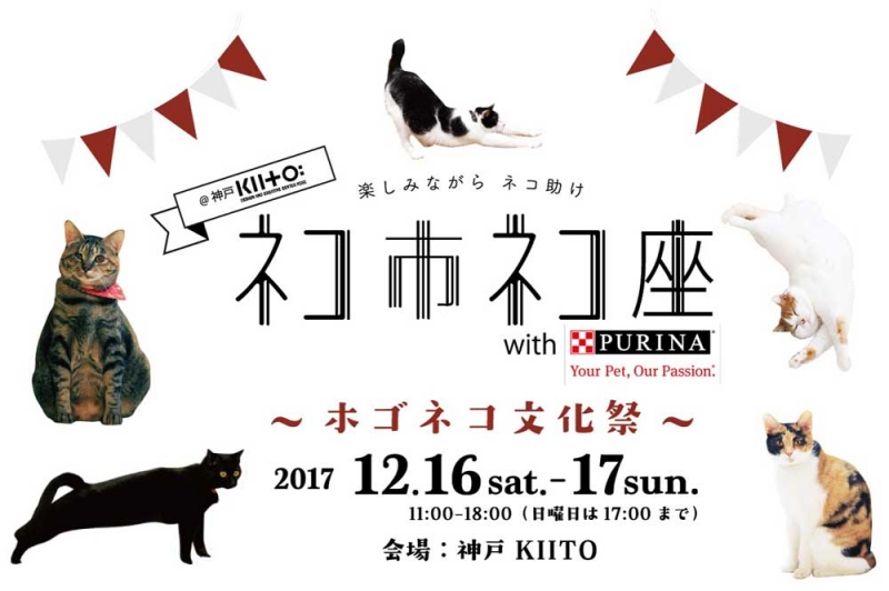 KIITO『ネコ市ネコ座～ホゴネコ文化祭』神戸市中央区 [画像]