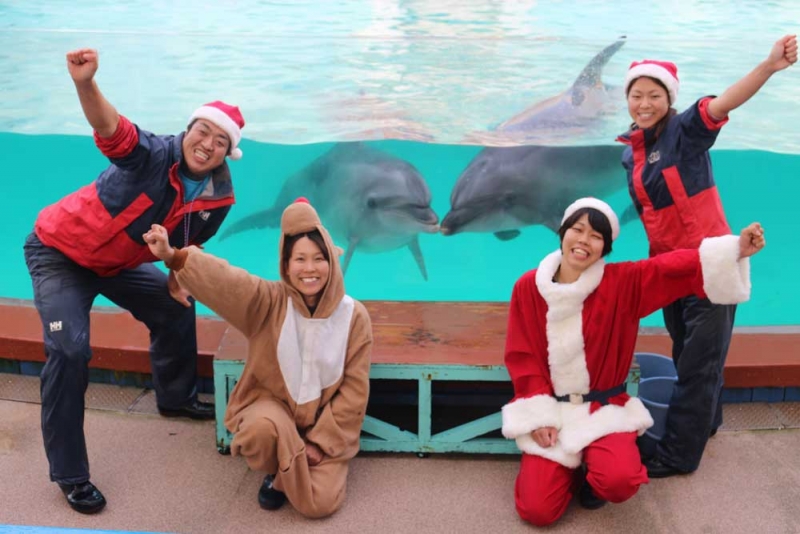 須磨海浜水族園で生きものと楽しむクリスマス企画　イルカライブクリスマスバージョンも開催 [画像]
