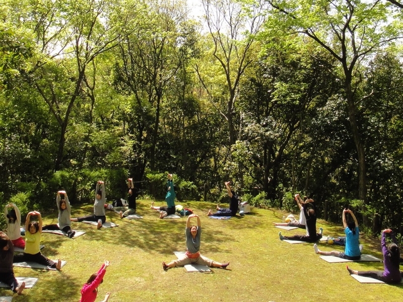神戸総合運動公園『森林浴ヨガ』　神戸市須磨区 [画像]