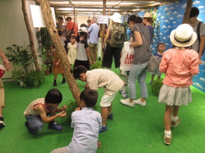 『さんちか昆虫の森展』神戸市中央区 [画像]