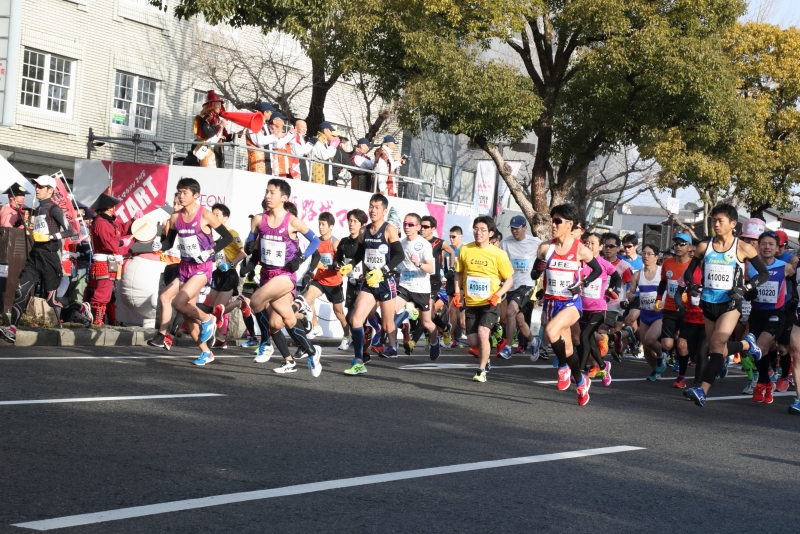 『世界遺産姫路城マラソン2019』ランナー募集 [画像]