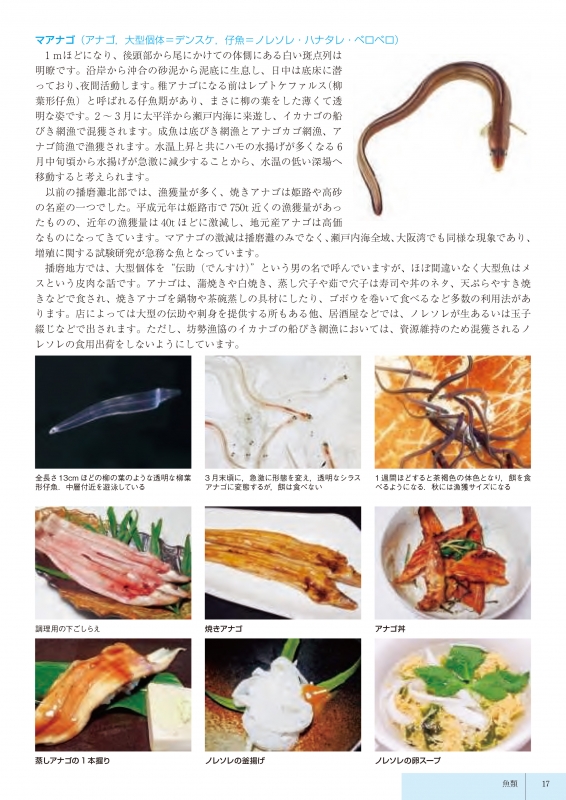 「うまいもの自慢　姫路の地魚食彩図鑑」一般向けに販売を開始 [画像]