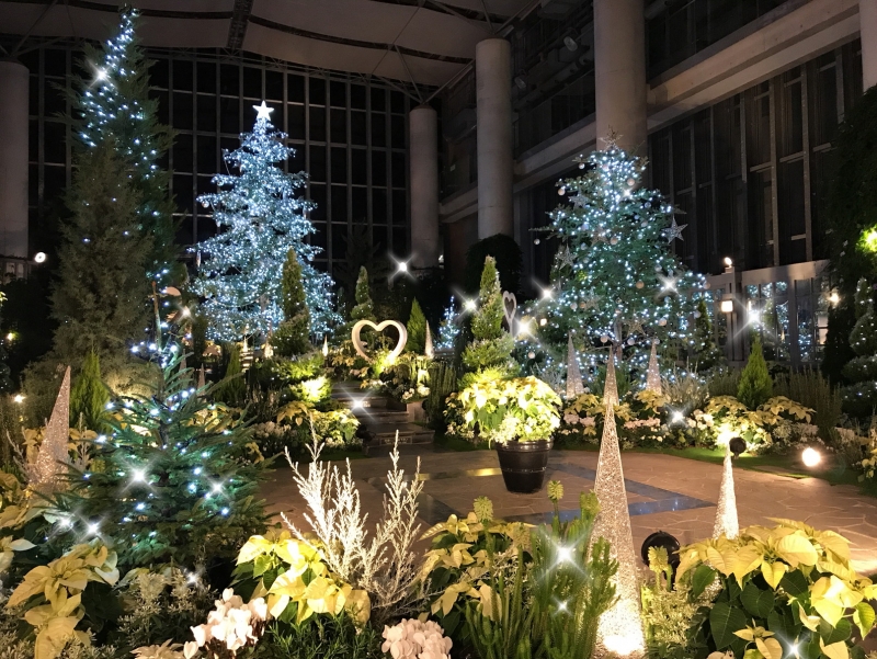 奇跡の星の植物館『クリスマスフラワーショー2018 北欧のクリスマス』淡路市 [画像]