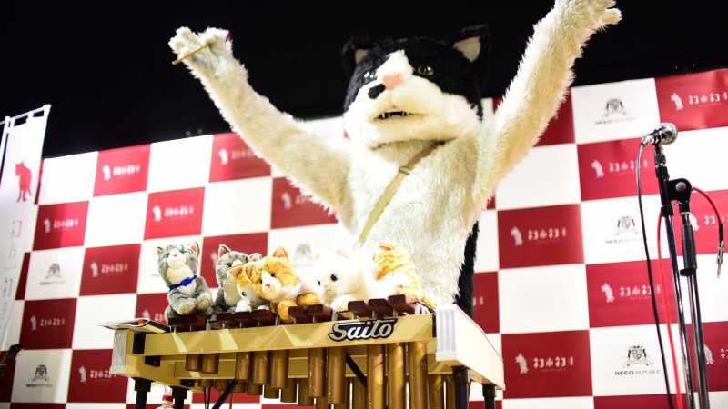 KIITO　楽しみながら、猫助け『ネコ市ネコ座』神戸市中央区 [画像]