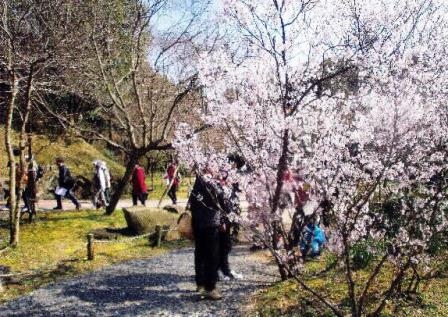 須磨離宮公園『春のこどもまつり』　神戸市須磨区 [画像]