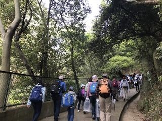『まや山クリーンハイキング』　神戸市須磨区 [画像]