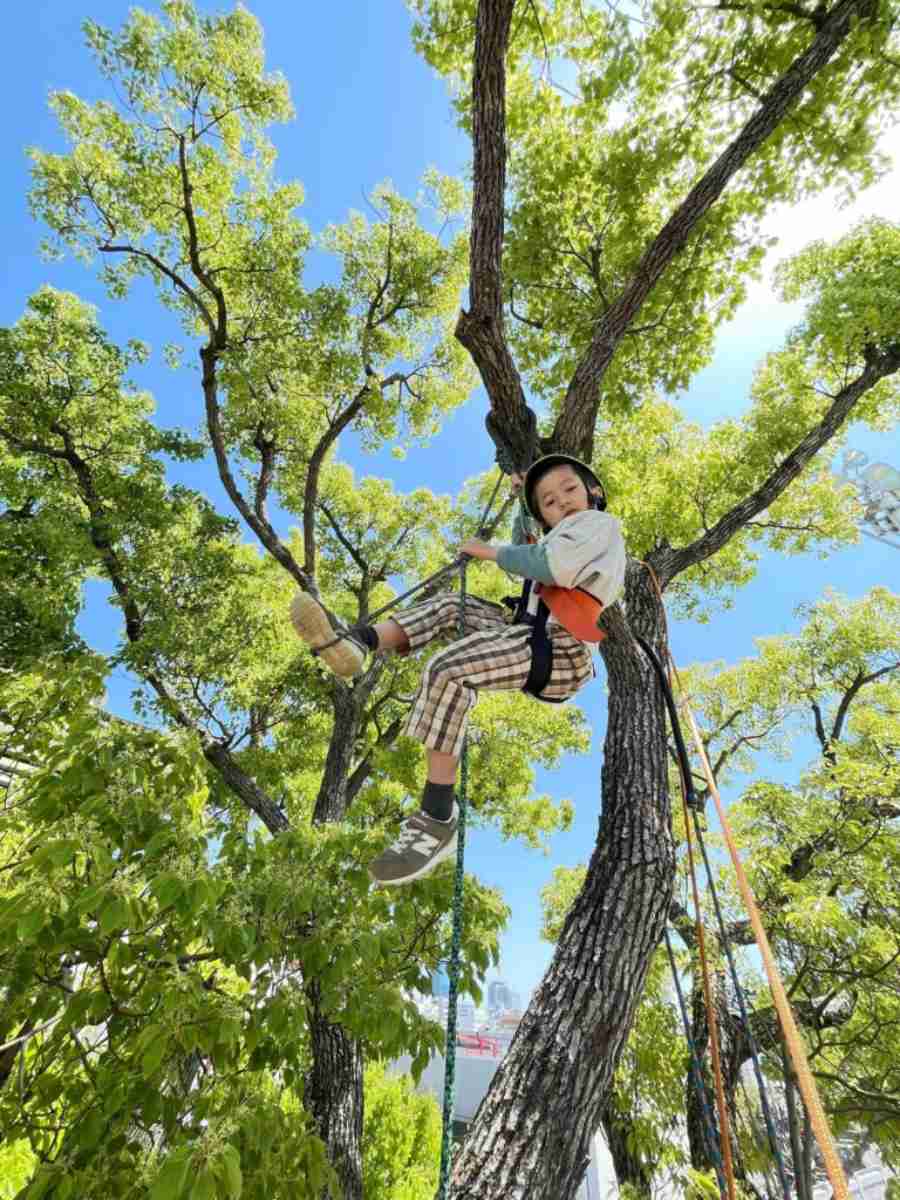 湊川公園の木に登ろう！ツリーイング