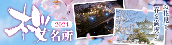〈特集〉お花見で春を満喫♪桜名所2024
