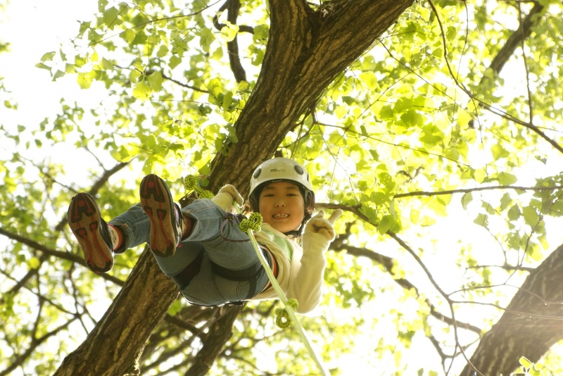 かんなべ自然学校『アウトドアクッキングとロープで木登りツリーイング』　豊岡市 [画像]