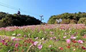 『Autumn Garden Fest 2016』神戸布引ハーブ園　神戸市中央区 [画像]