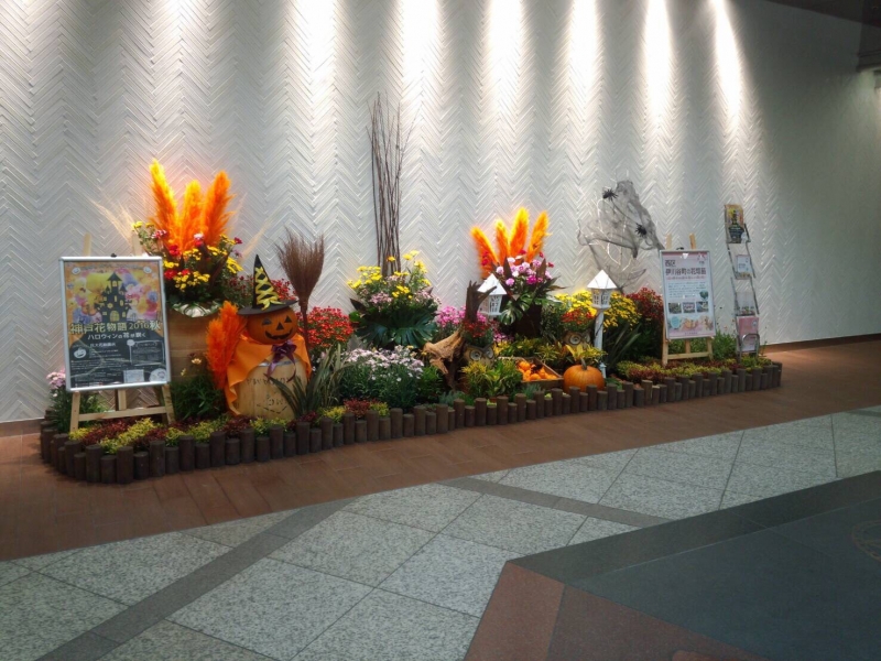神戸の花で飾る『街の彩ガーデン―Autumn Version―』　神戸市中央区 [画像]