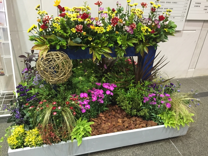 神戸の花で飾る『街の彩ガーデン―Autumn Version―』　神戸市中央区 [画像]
