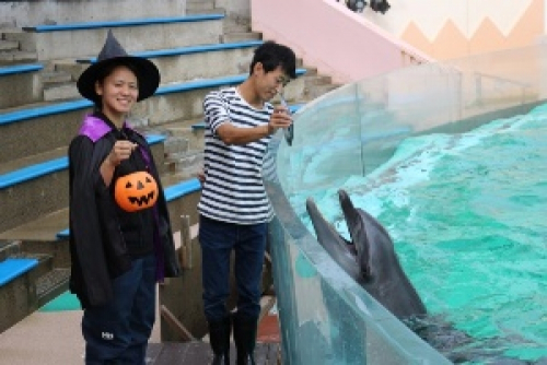 須磨海浜水族園『須磨ハロウィンウィーク2016』神戸市須磨区