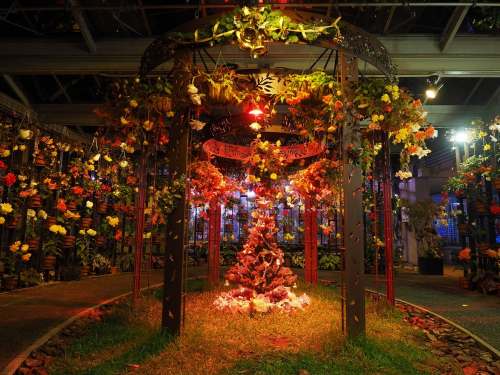 『花と光のクリスマス』　加西市