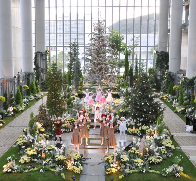 奇跡の星の植物館 『クリスマスパーティー』　淡路市 [画像]