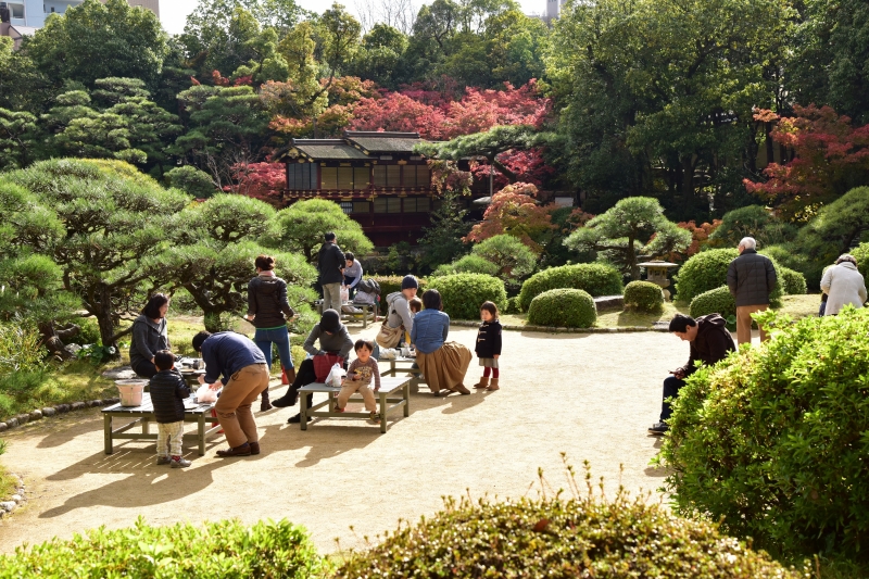 『日本庭園で紅葉を楽しむ会』　神戸市中央区 [画像]