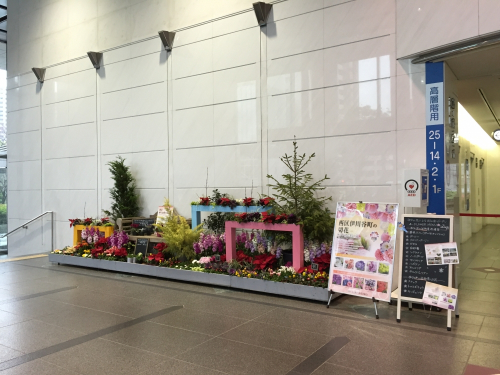 『神戸の花による街の彩ガーデン』ーChristmas Versionー登場　神戸市中央区