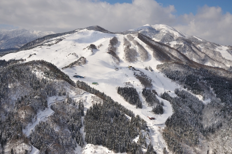 スノーボーダー注目のスキー場『スカイバレイスキー場』が12月23日シーズンオープン　美方郡香美町 [画像]