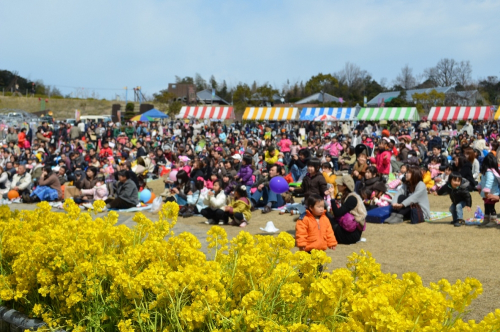 淡路島・春の観光シーズン幕開けを飾る『洲本市五色菜の花まつり』　洲本市