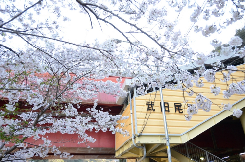 宝塚観光ガイド 夢さがし隊『もうひとつの花の道あるき』　宝塚市