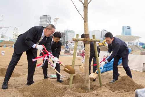 神戸港開港150年記念、メリケンパークに桜50本を植樹　神戸市中央区