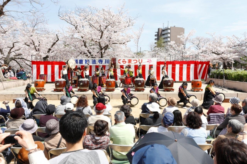 約400本の桜並木を楽しむ『須磨妙法寺川さくらまつり』　神戸市須磨区 [画像]