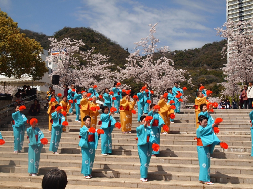 桜の名所が今年も色づく『生田川さくらまつり』　神戸市中央区