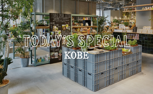 セレクトショップ『TODAY'S SPECIAL』神戸初出店