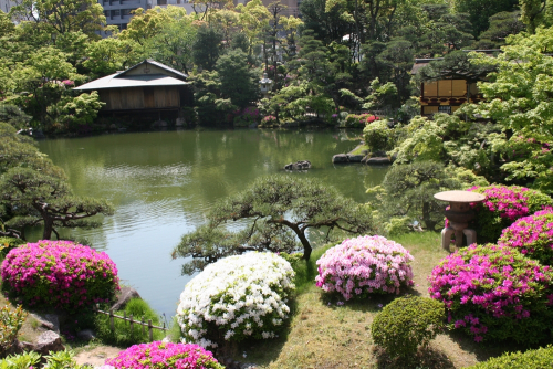 重要文化財「旧ハッサム住宅」の公開も 相楽園『つつじ遊山』　神戸市中央区