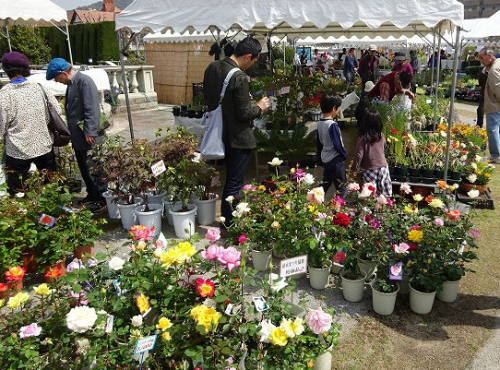 花と植木の即売『第130回宝塚植木まつり』　宝塚市