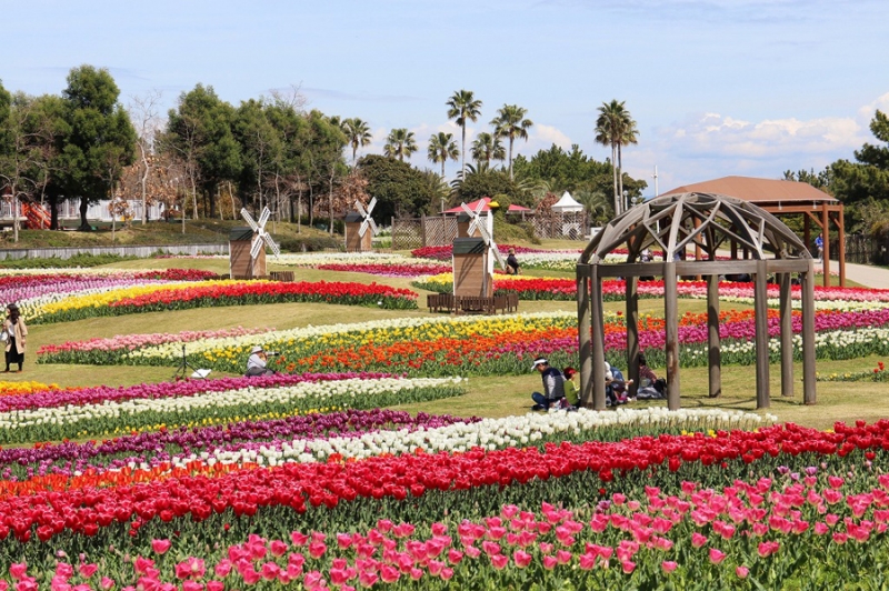 淡路島国営明石海峡公園『チューリップ アイランドパーティー』 [画像]