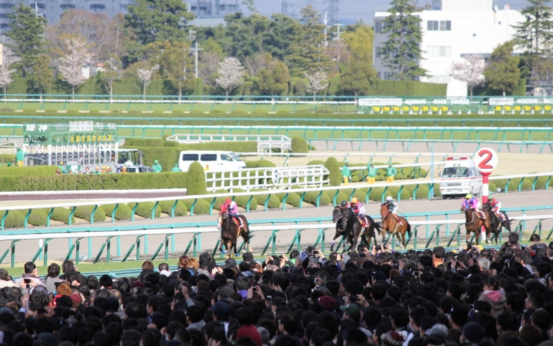 阪神競馬場 実況席やパドックをご案内『バックヤードツアー』　宝塚市 [画像]