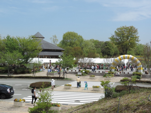 三田の自然や文化を楽しむ『ありまふじフェスティバル’17春』　三田市