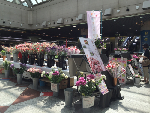 デュオこうべ『こうべ花マルシェ』神戸市中央区