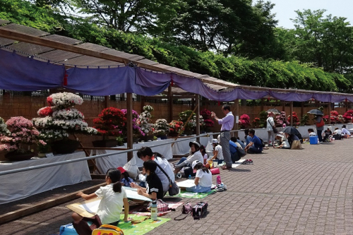 花と緑のまつり『花き盆栽展』　加東市
