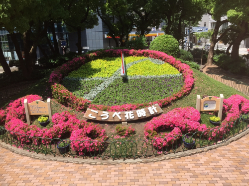 神戸国際フルート音楽祭に合わせて花時計の植え替え　神戸市中央区