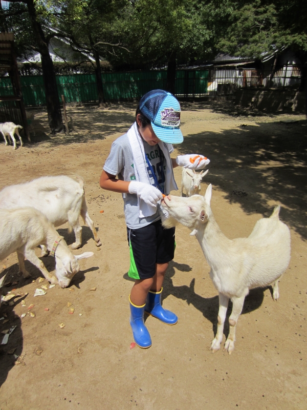 姫路市立動物園『動物園サマースクール』参加者募集　姫路市 [画像]