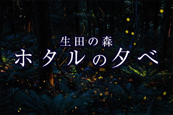 生田神社『生田の森 ホタルの夕べ』　神戸市中央区 [画像]