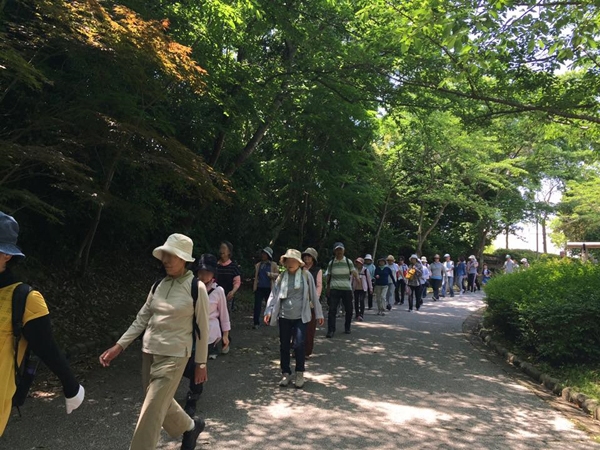 神戸総合運動公園『森林浴ウォーク』　神戸市須磨区 [画像]