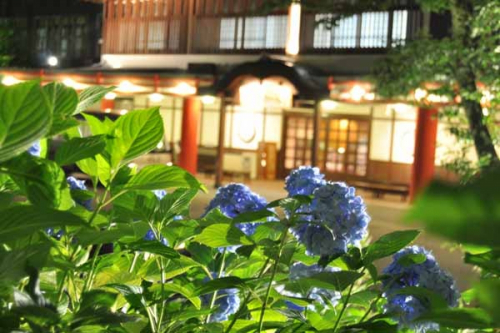有馬温泉 太閤の湯で『紫陽花ライトアップ』 敷地内の歩行者通り抜けを解禁　神戸市北区