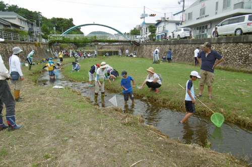 逆瀬川で水生生物観察『水辺の生き物探検』　宝塚市