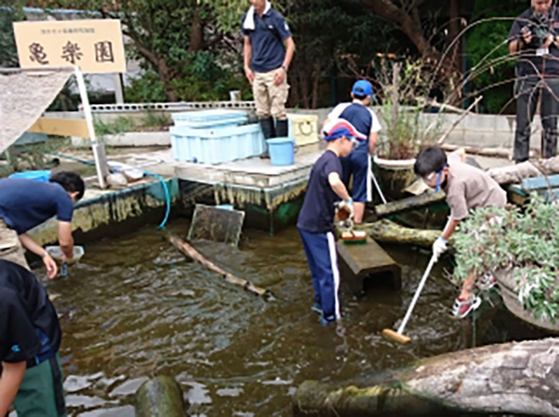 スマスイ生きものスクール『淡水ガメ水槽のお掃除体験』 神戸市須磨区 [画像]