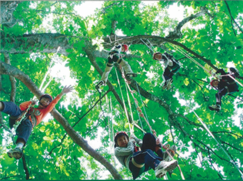 『TREE-ING 木登り体験』神戸市北区
