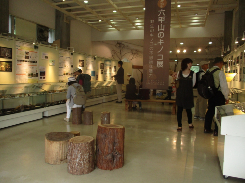 神戸市立森林植物園『六甲山のキノコ展』　神戸市北区